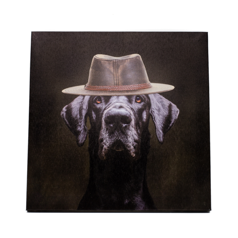 Fekete labrador portré divatos kalapban